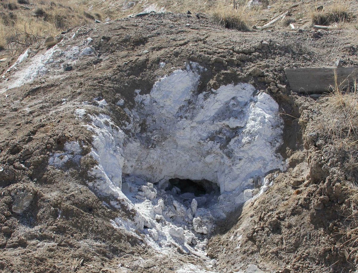 Diane Hope tweet media