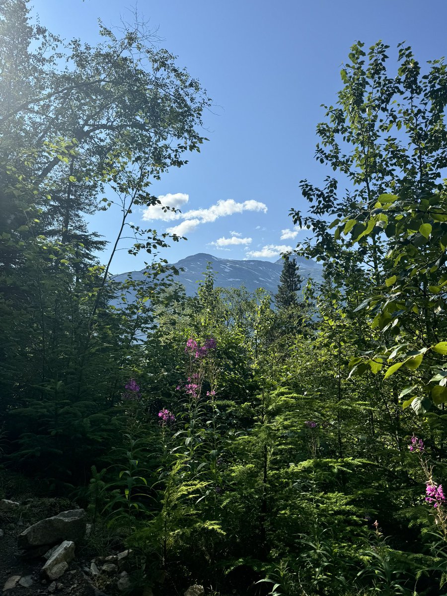 kobra__'s tweet photo. postcards from Alaska 🏔️✨ https://t.co/BplHDi8eGa