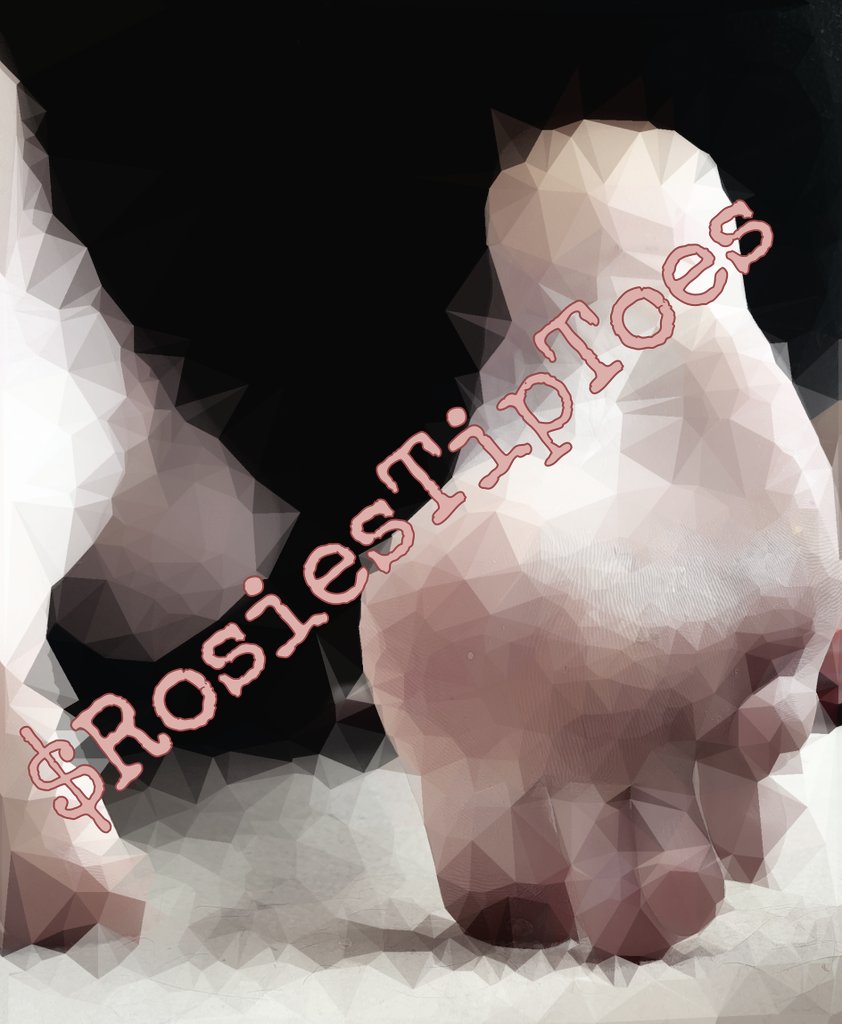 Buy the unedited photo at app.feetfinder.com/userProfile/Ro…
Only $5 
Cash app $RosiesTipToes to have it sent directly to your inbox. 
#Tipsareon
#pinksoles #slightlydirtyfeet #dirtyfeet #toes #lickmyfeet #feetfinder #sexyfeet #barefoot #dirtypinksoles #palefeet #FOOTFETİSH #foot #longtoes