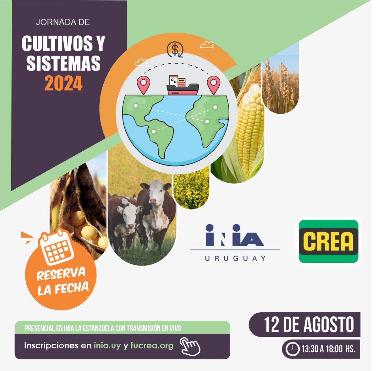 FUCREA's tweet photo. Se viene una nueva edición de la Jornada de Cultivos y Sistemas de @INIA_UY y @FUCREA

🌱🐮Resultados físicos y económicos, 🔎proyecciones, 🌽desafíos en maíz, 🌎ambiente.

🗓️12/8, presencial en INIA La Estanzuela, con transmisión en vivo.
Inscribite: https://t.co/rFAiyA4AGW https://t.co/3fxG2gPXnJ