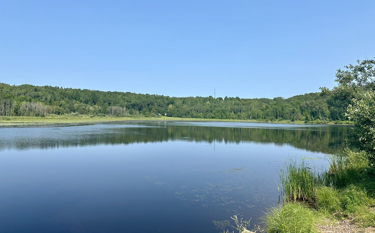 KatieSmith_MN's tweet photo. Together w/federal, state, tribal, local partners, MNDNR &amp; MN Land Trust are working together to restore fish &amp; wildlife habitat at Perch Lake, part of greater effort to mitigate historic impacts to St Louis River. Funding from OHF &amp; GLRI. https://t.co/clSMXXsW6q