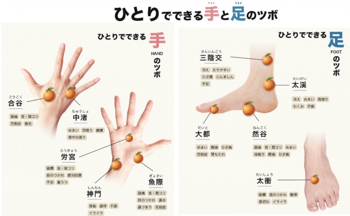 あゆみかん🍊1分体操と「巡りの法則®︎」で世界に幸せを広めるプロジェクト tweet media