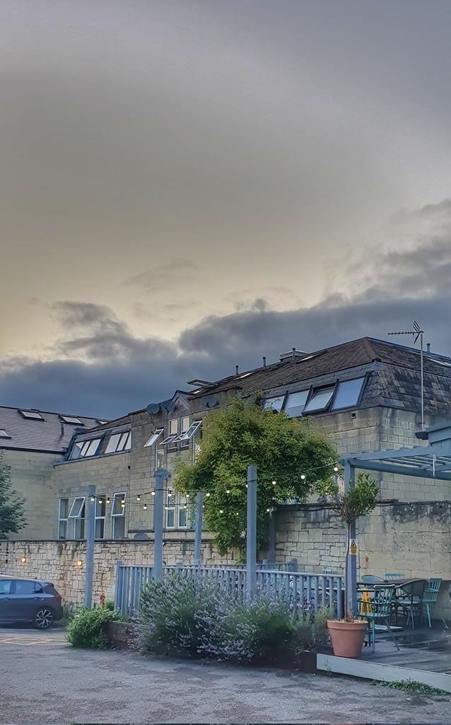 laura wilkins tweet media