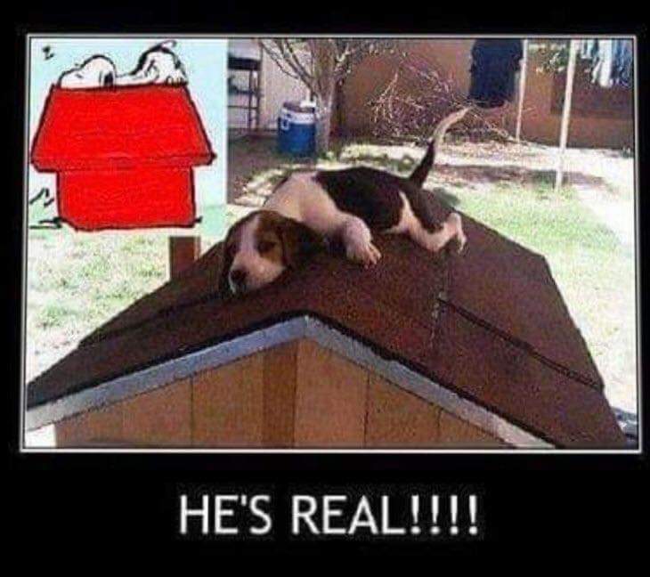 BluBodhi's tweet image. 