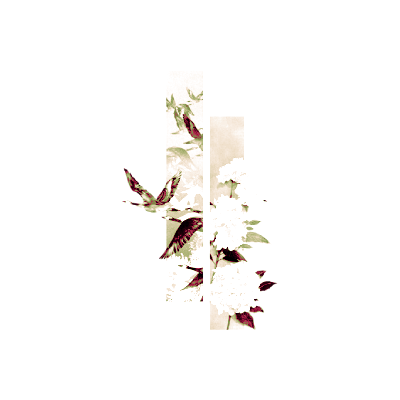 odegrove's tweet photo. ᅠmᡣ𐭩ྀther      ֪ ‍     NATURE.ᅠ https://t.co/YY73efxKIl