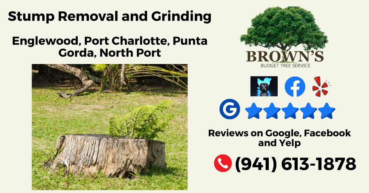 BrownBudget's tweet photo. You had a tree cut down and they left the stump. Brown's Budget Tree Service provides both stump grinding &amp; chipping services. Call Jean for an estimate (941) 613-1878.
https://t.co/vno2xT7rhg https://t.co/82sqfTXlOb