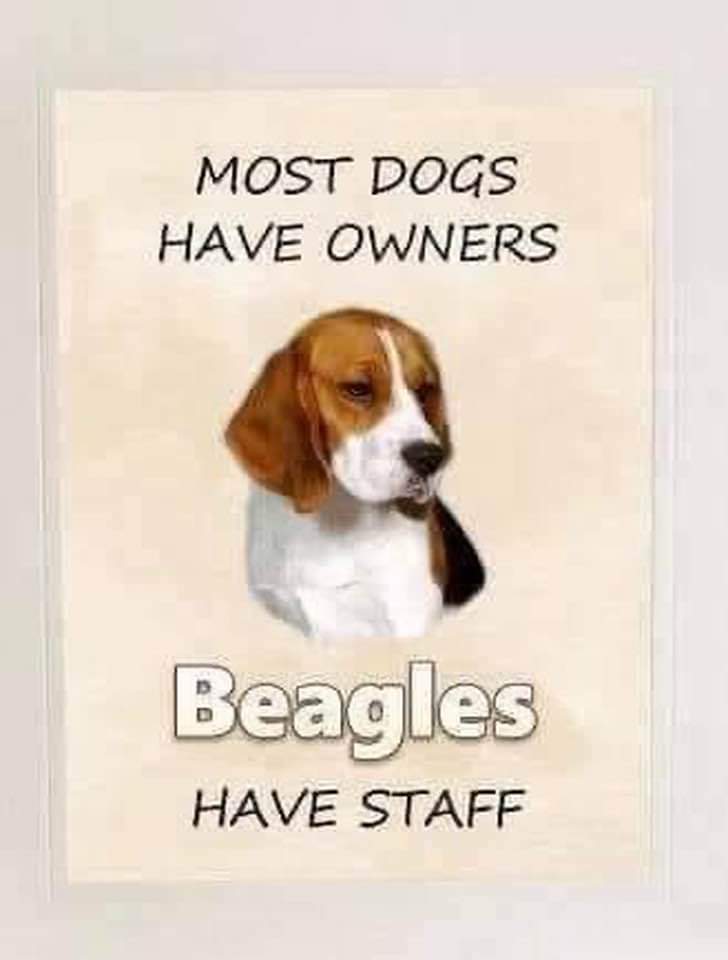 BluBodhi's tweet image. 