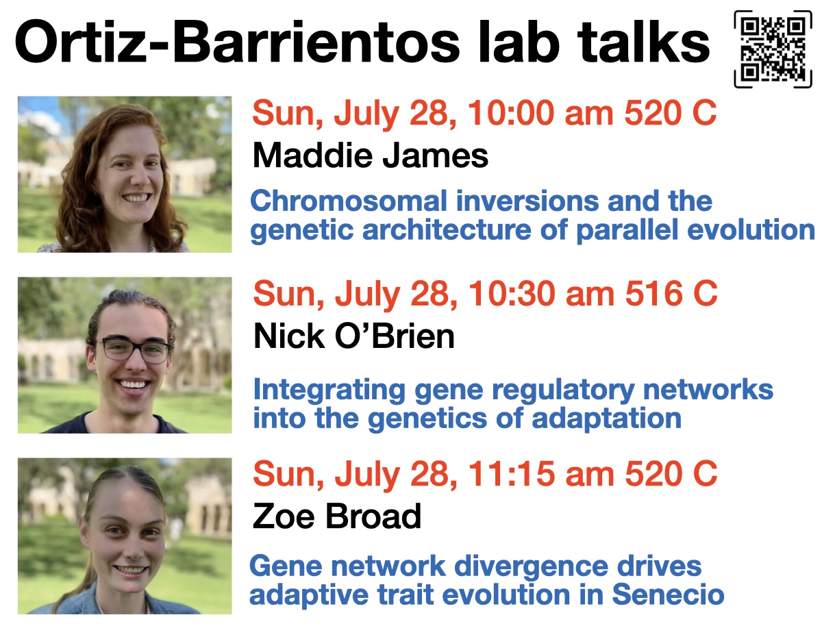 Daniel Ortiz-Barrientos (@dortizba) on Twitter photo The Ortiz-Barrientos lab is presenting at #Evol2024! Join us to explore chromosomal inversions, gene networks, and adaptive evolution. Exciting talks by <a href="/maddie_e_james/">Maddie James</a>, <a href="/stochasnick/">Nick O'Brien</a>, and <a href="/zoe_broad/">Zoe Broad</a>. Details in image below. #EvolutionaryBiology The Ortiz-Barrientos lab is presenting at #Evol2024! Join us to explore chromosomal inversions, gene networks, and adaptive evolution. Exciting talks by <a href="/maddie_e_james/">Maddie James</a>, <a href="/stochasnick/">Nick O'Brien</a>, and <a href="/zoe_broad/">Zoe Broad</a>. Details in image below. #EvolutionaryBiology
