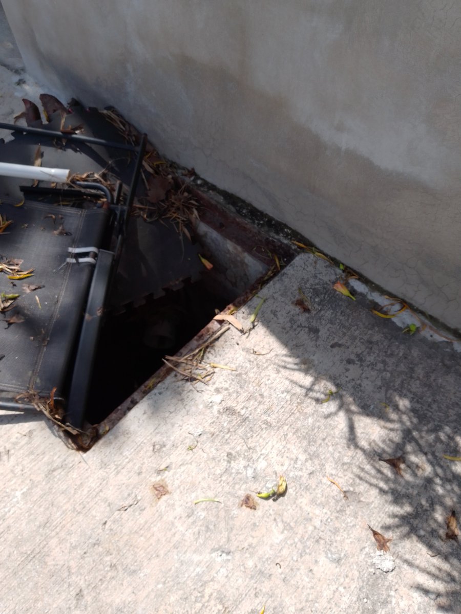 Ligia Sauri Garcia tweet media