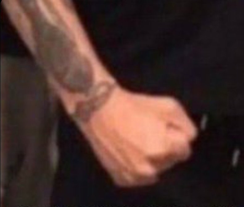 porque todos tienen foto con louis menos yo