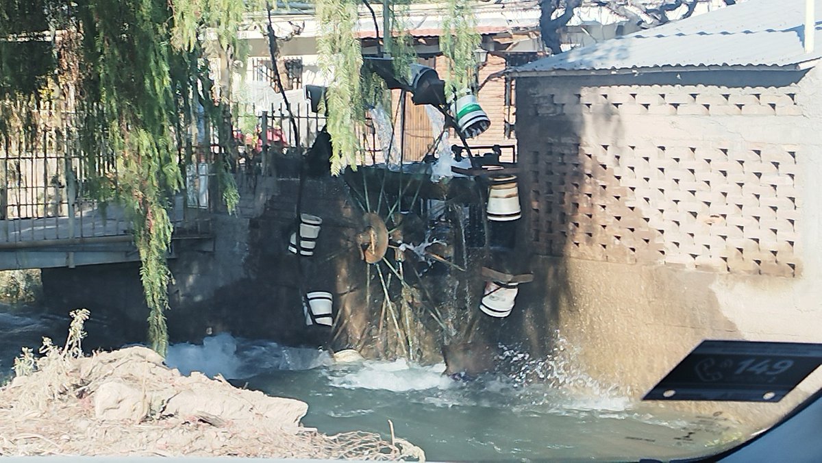 EduardoSileoni's tweet image. La hermosa noria de Lunlunta, hoy trabajando a pleno. Nunca la había visto en funcionamiento, con tanta agua. #lunlunta #noria #mendoza