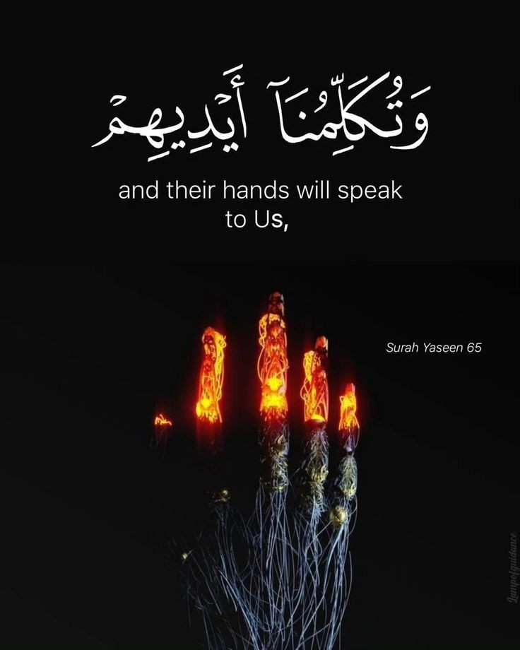 Al_Quran_011's tweet photo. reposts, it will help you😍🕊️ https://t.co/1dFHfHDZ1k
