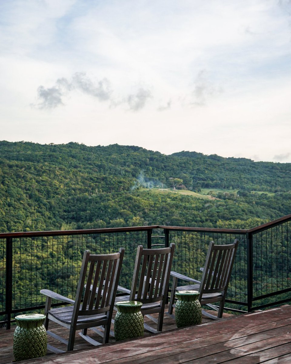 The Tryall Club tweet media