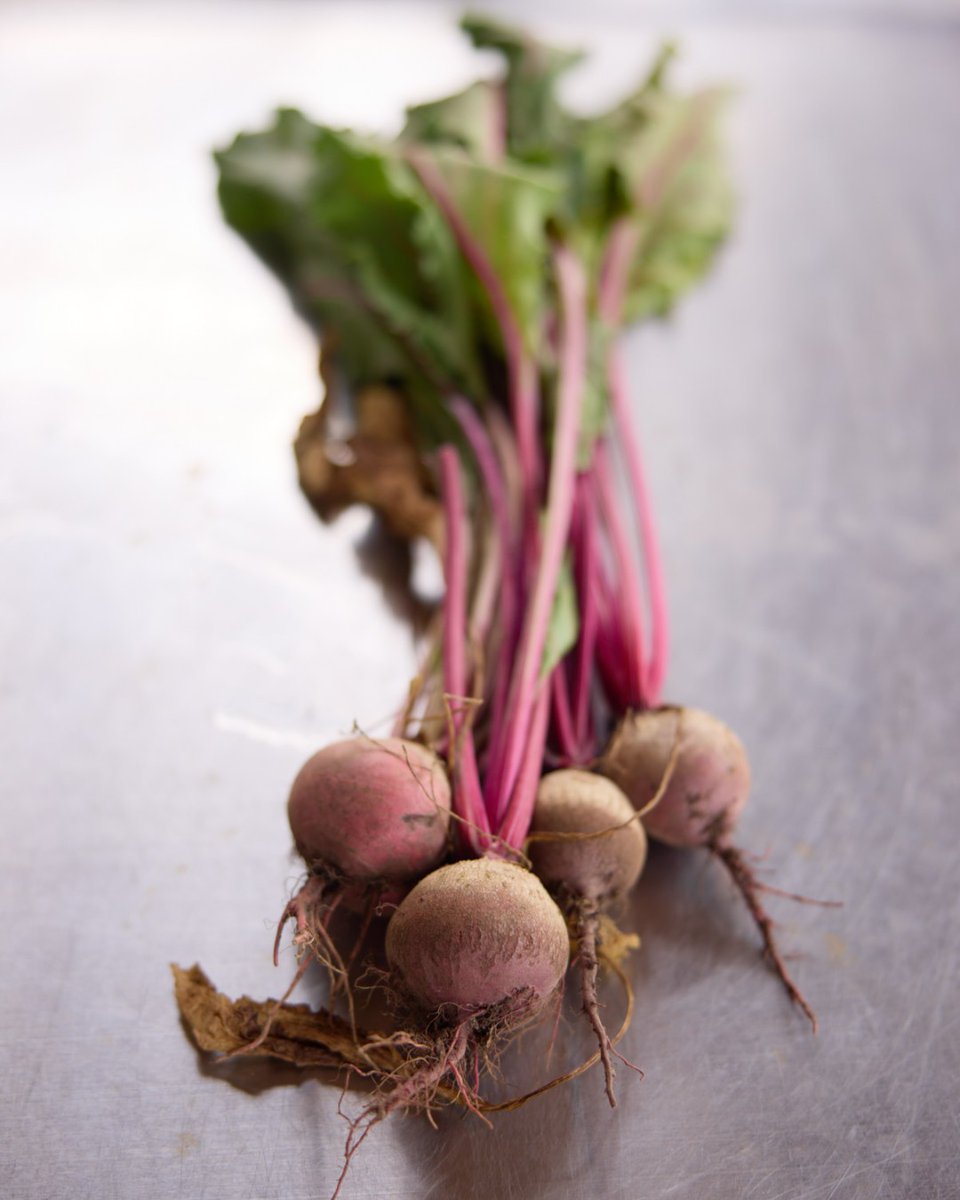 The Well at Oxon Run by DC Greens tweet media