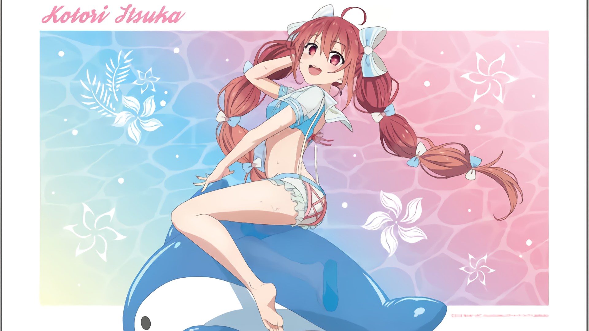 ドルフィンライブ 露出妻 