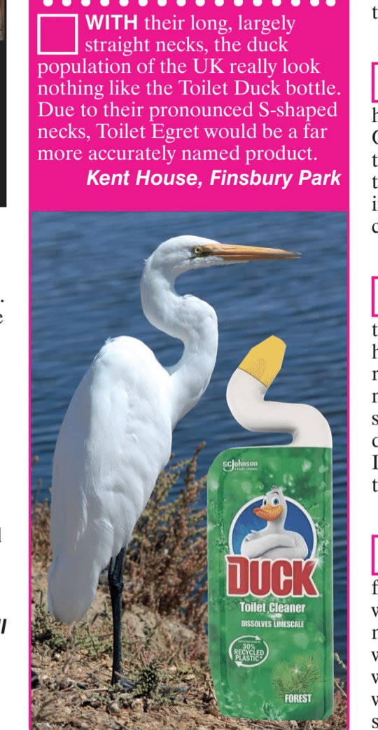 vizcomic's tweet image. subscriptions &amp;gt;&amp;gt;&amp;gt; shop.viz.co.uk/viz337tw