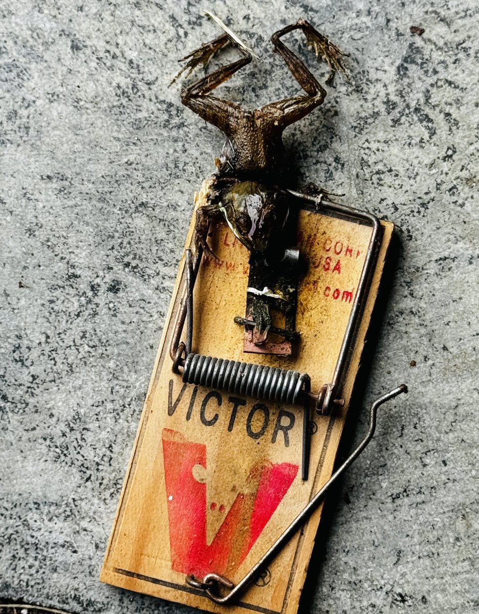 DrJackHughes tweet media