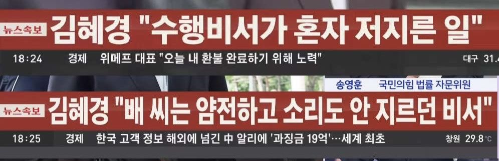 죄목이 많아 나도 모르게 놓치게 되는 것 중 하나. 도지사 배우자는 공무원을 비서로 둘 수 없음. 저 최후변론은 <사모님팀> 존재를 자백한 셈. 불법을 오래 누리다보니 불법이 권리인줄 착각하는 경지에 이른듯. 리플리 증후군이라고 하던가?