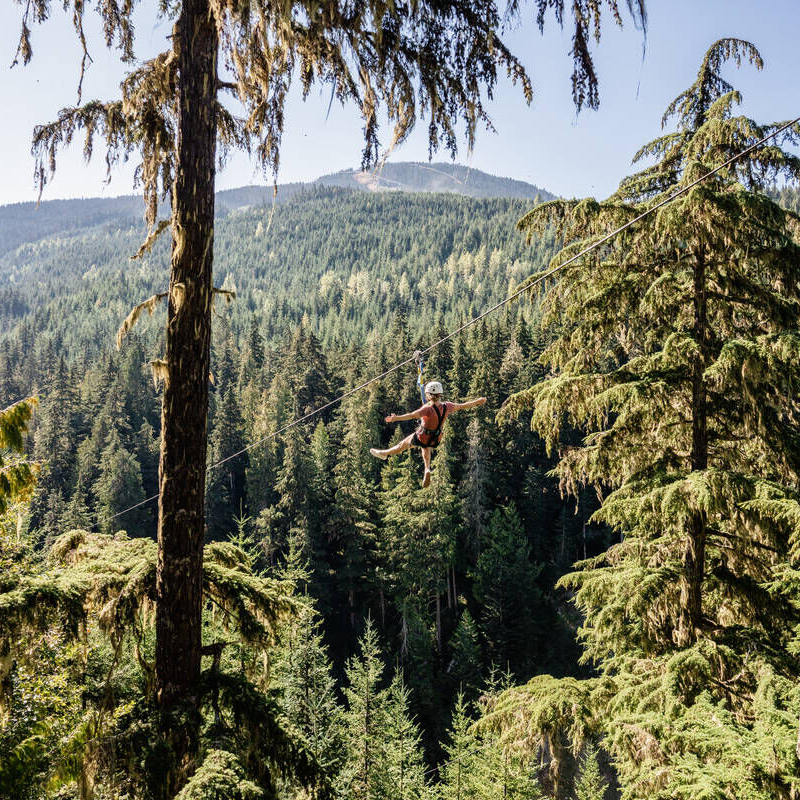 LodgingOvations's tweet image. Looking for a little adventure during your Whistler stay? 🏔️✨

Why not get sky high with one of these thrilling aerial experiences:

1️⃣ Whistler Bungee
2️⃣ Ziplining
3️⃣ Float Plane Tour
4️⃣ Helicopter Tour

Which one would you choose? 🌟

#GoWhistler #Whistler #ExploreBC