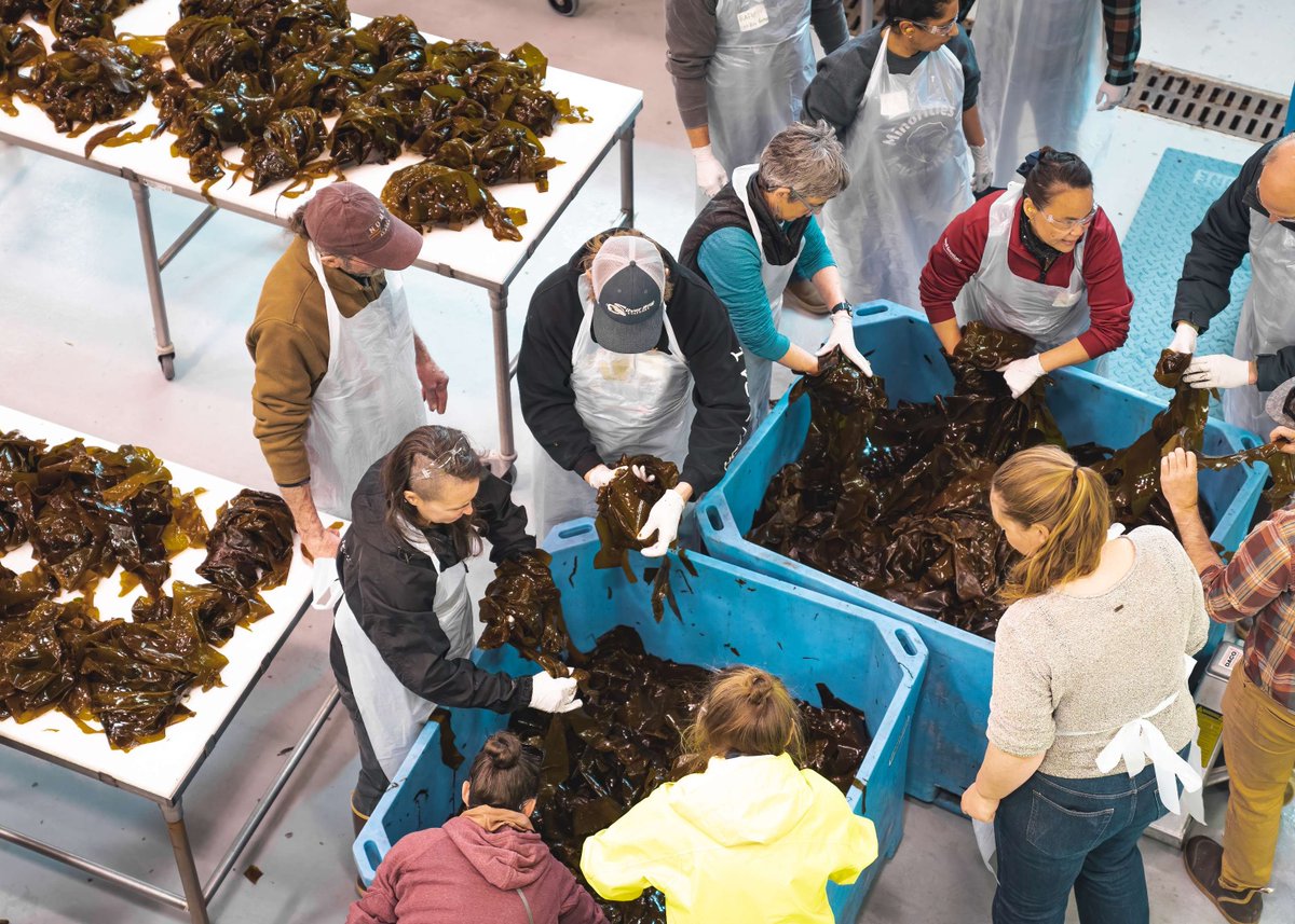 GreenWave tweet media