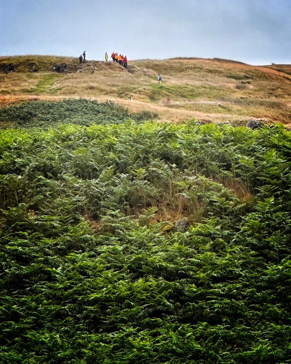 LomondMRT's tweet image. #CallOut 25/24
At 12:58 this afternoon, Lomond MRT were called to assist with a walker who had sustained a lower leg injury on the Campsie Fells.
Following initial assessment and treatment, the casualty was stretchered off the hill to a waiting ambulance.