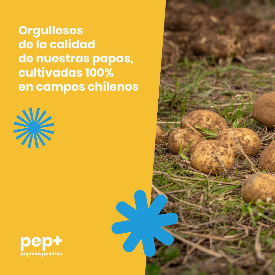 No solo hablamos de sustentabilidad, ¡la vivimos! 🌱 Nos comprometemos con prácticas agrícolas responsables que respetan nuestro entorno y apoyan a nuestras comunidades. Gracias a nuestros agricultores, ofrecemos productos de alta calidad para un futuro más sostenible.