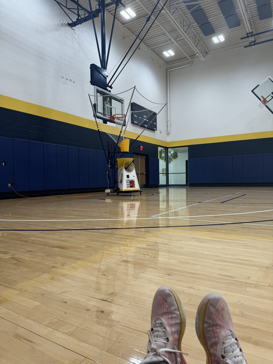 Alexis Martin tweet media