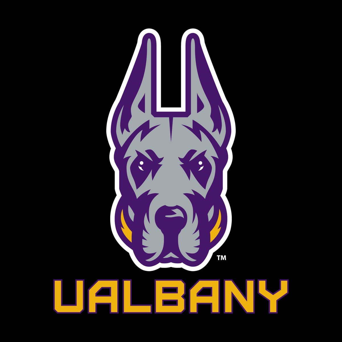 Giorgio Panepinto Jr (@panepintogio) on Twitter photo Had a great camp at UAlbany today getting to see the beautiful campus and meeting a great coaching staff. Thanks to all the coaches and players I met today! <a href="/CoachOrlovsky/">𝙅𝙤𝙧𝙙𝙖𝙣 𝙊𝙧𝙡𝙤𝙫𝙨𝙠𝙮</a> <a href="/CoachFiacchi_UA/">Coach William Fiacchi</a> Had a great camp at UAlbany today getting to see the beautiful campus and meeting a great coaching staff. Thanks to all the coaches and players I met today! <a href="/CoachOrlovsky/">𝙅𝙤𝙧𝙙𝙖𝙣 𝙊𝙧𝙡𝙤𝙫𝙨𝙠𝙮</a> <a href="/CoachFiacchi_UA/">Coach William Fiacchi</a>