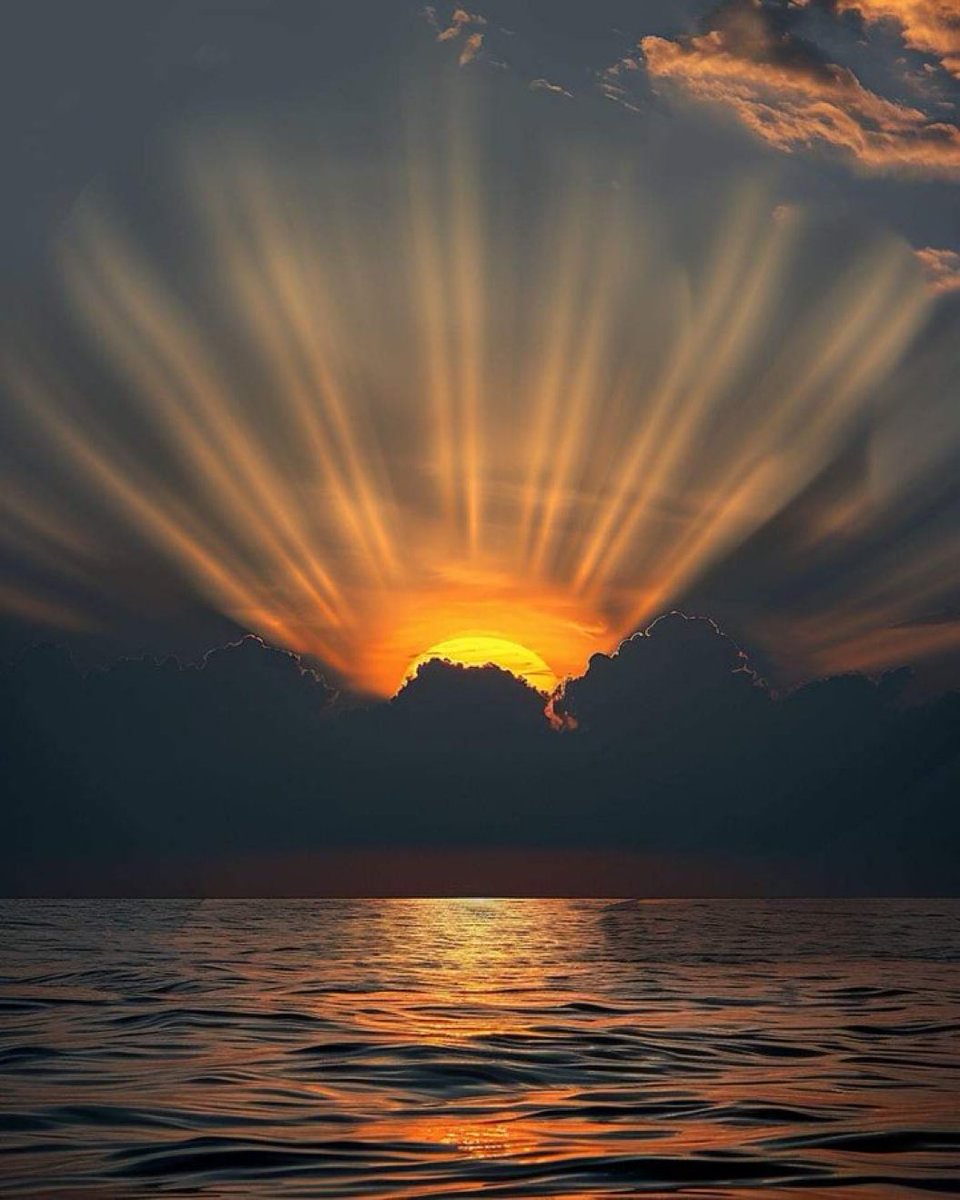 Jojozoey1's tweet photo. Everyone may have wonderful and #fruitful on each day✨✨✨✨✨✨
#orbit #iss #NASA #Earth 
#PrayForPeaceNowWorldWide 
#PeaceForAll 
#StayStrong 
#BeHappy 
#PositiveVibes 
#chasedream 
#Folllowyourheart 
#Goodluckforyou🫰
#仲良くしよう🍀
#写真好きな人と繋がりたい💞 https://t.co/9Gn4NU7zsD