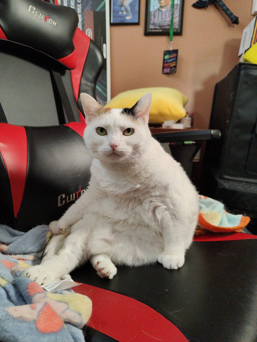 Nintendrew! 🕹️✨🎮 tweet media