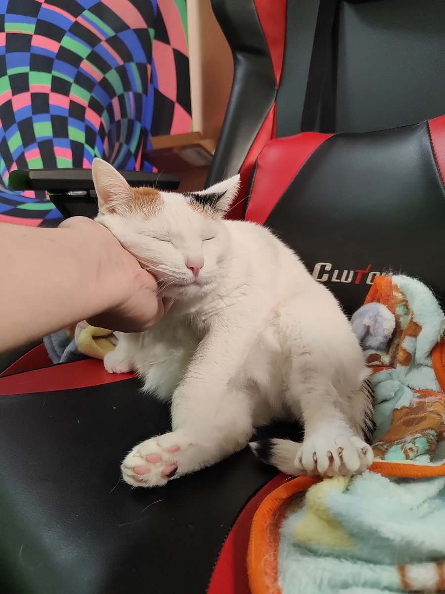 Nintendrew! 🕹️✨🎮 tweet media