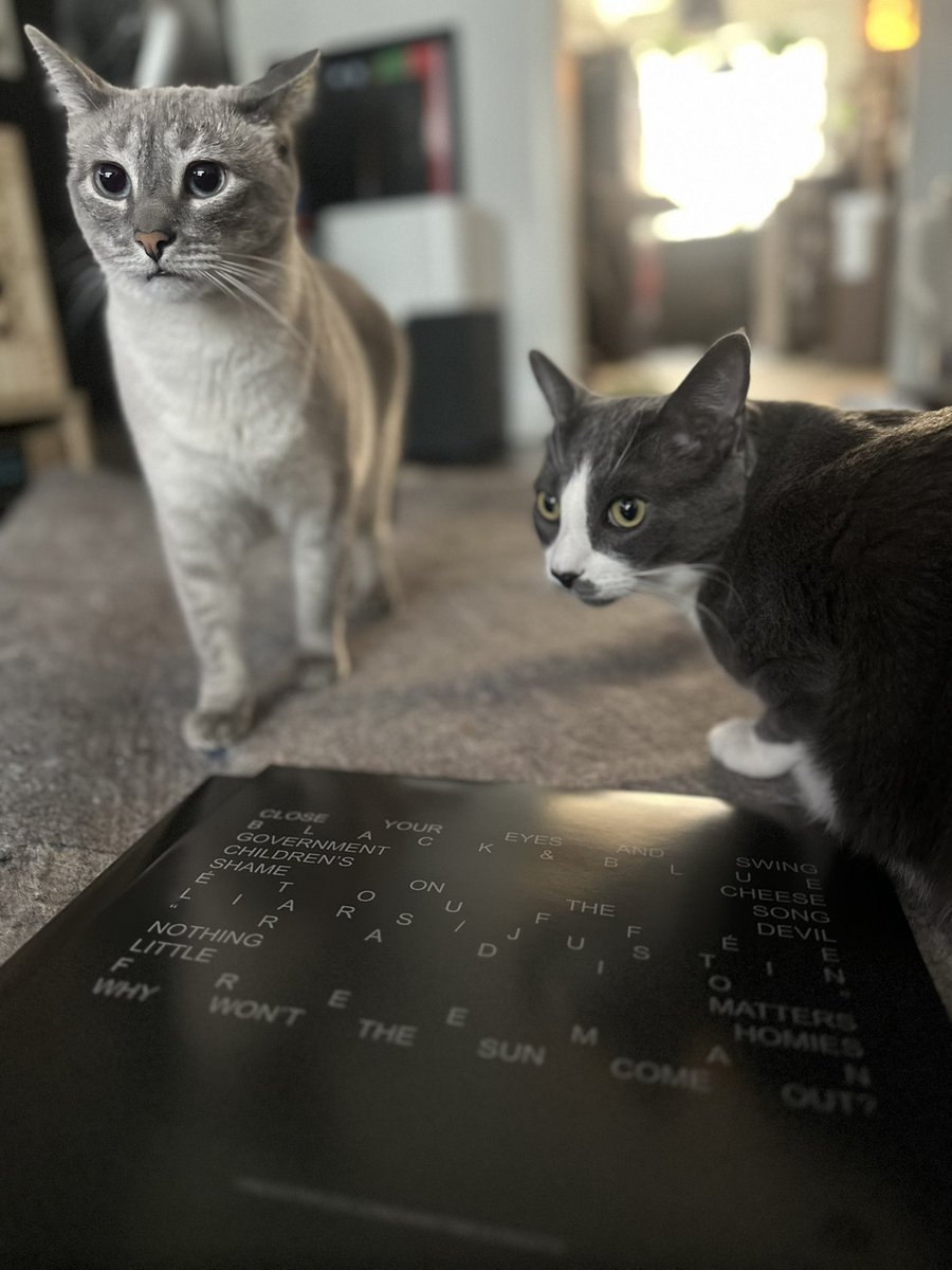 nu_marcus's tweet image. let em know #DarkTimes