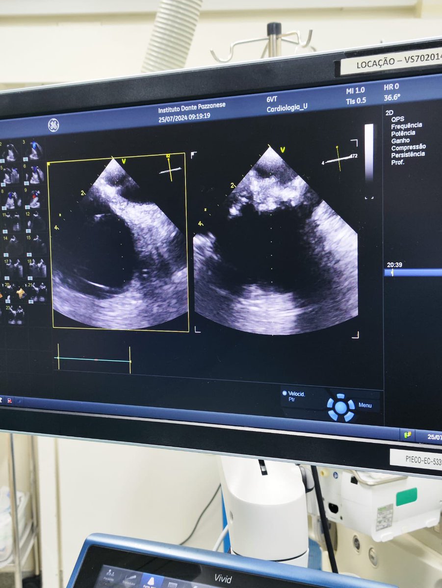 Bruno Valdigem tweet media