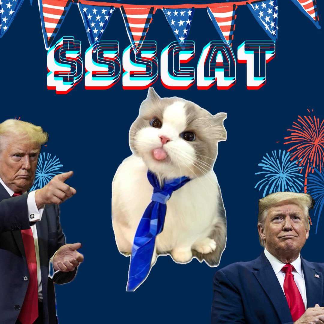 SSCatOnSOL's tweet photo. COME GET YOUR ENTRY NOW INTO $SSCAT BEFORE IT FLYS! 

SECRET SERVICE CAT BITCH SLAPPED Kimberly Cheatle AND TOOK HER SPOT NOW WE AIMING FOR 1 MILLION MC. 

https://t.co/cIpeREDloJ https://t.co/JZs3I5G2HZ