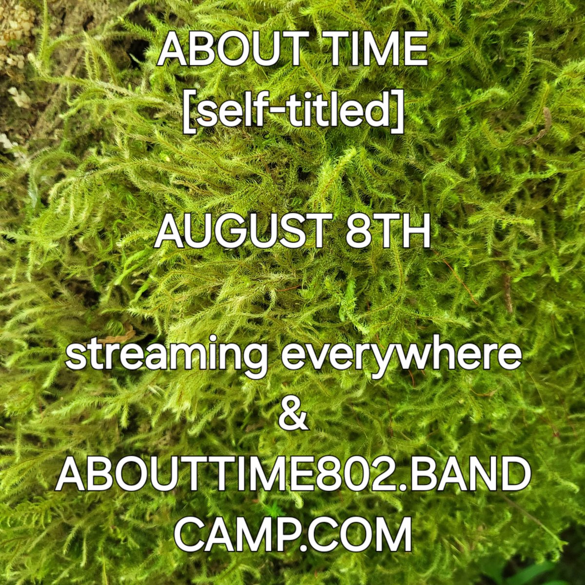 lserver362's tweet image. The real cover has nothing to do with moss but I just like moss and lime green is in right now so here's a visual: