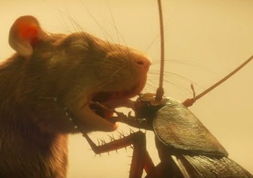 Doom Patrol Shots tweet media