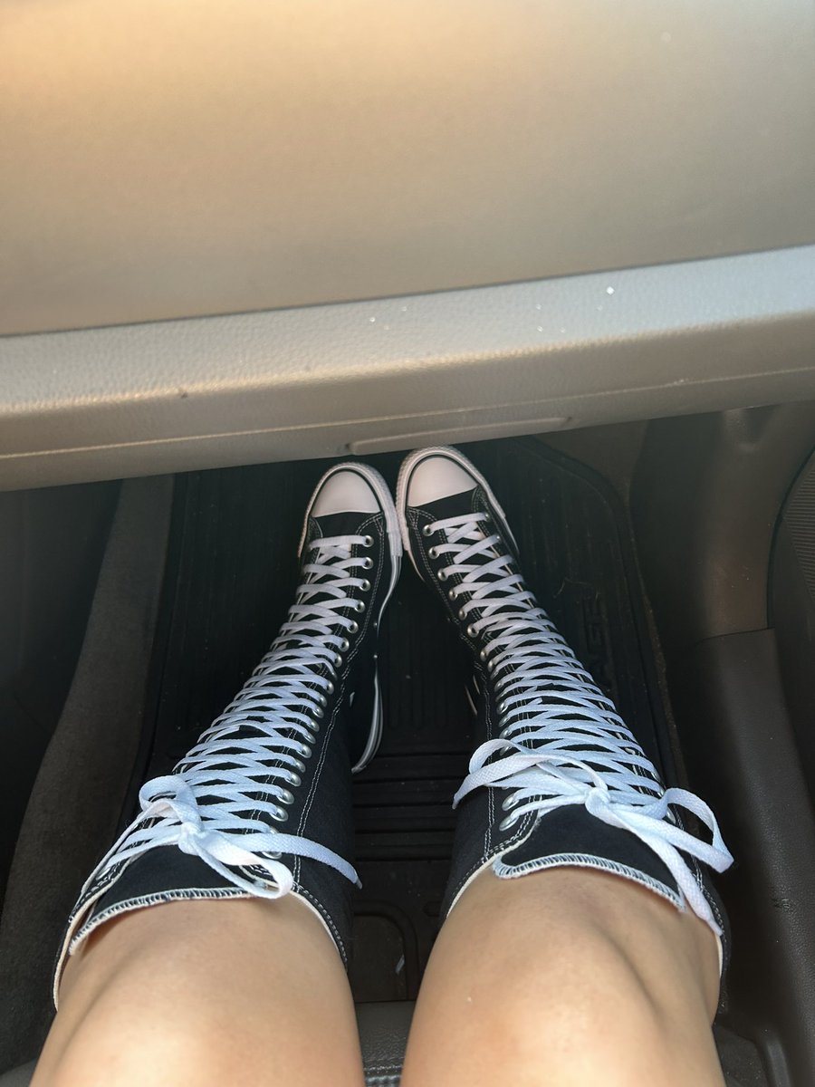 ⋆˚🐾˖° tweet media