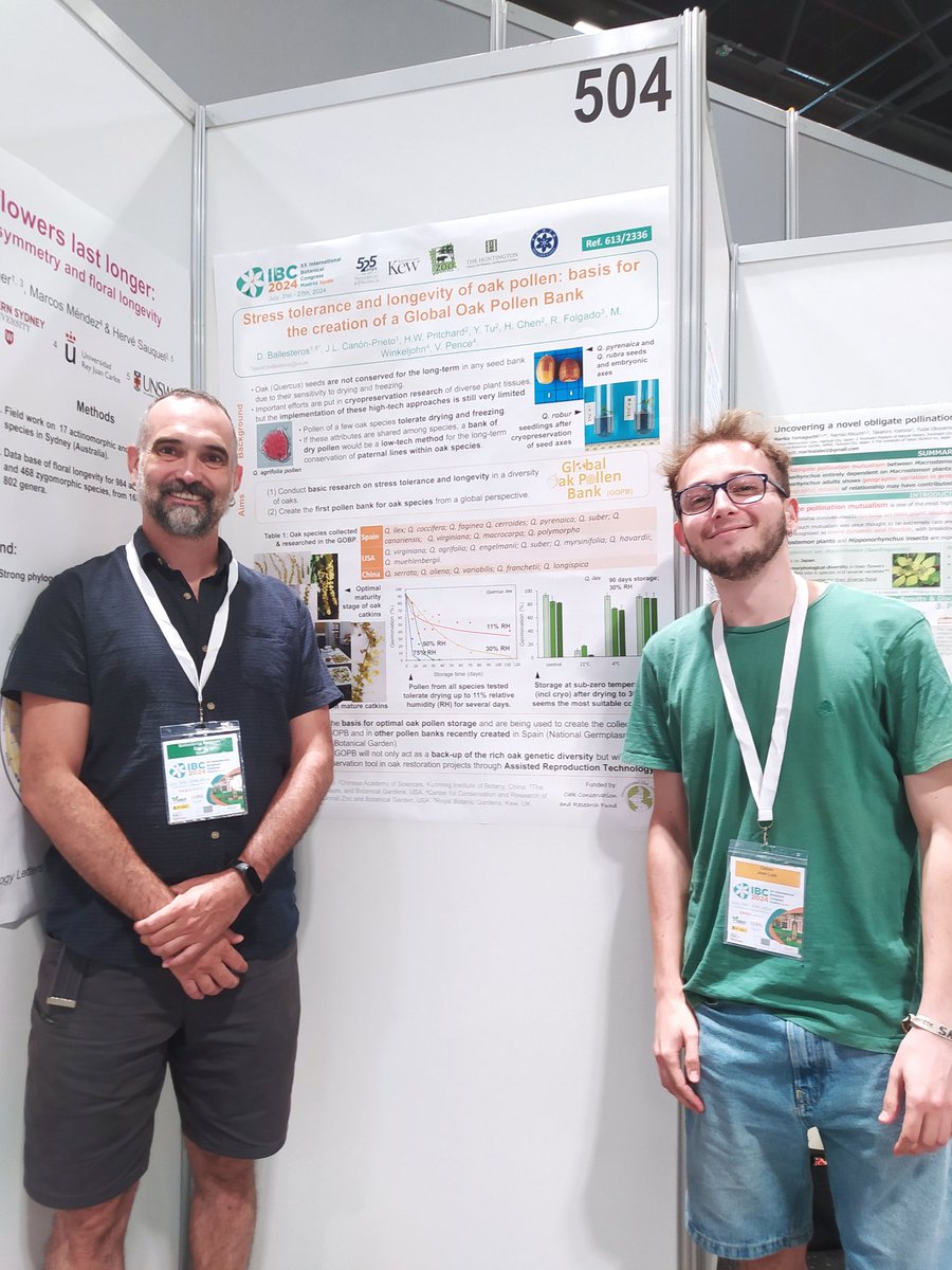 The Global Oak Pollen Bank has been presented at #IBC2024 thanks to the hard work made by students like Jose Canon and the funding of the <a href="/IntlOakSociety/">International Oak Society</a>
