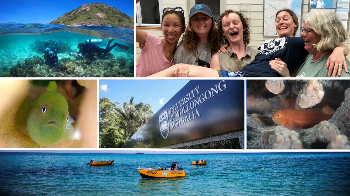 New PhD position available on the social behaviour of coral-dwelling fishes, based at The Fish Lab <a href="/UOW/">UOW</a> ! Fieldwork mainly on the Great Barrier Reef, candidate must be SCUBA certified to at least PADI Rescue (or in process). Send EOIs to marianw@uow.edu.au by 16/08🐠 Pls share!