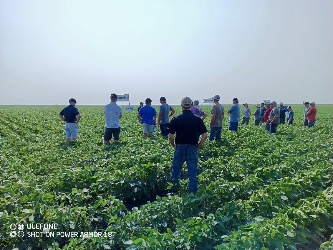 Manness Seed (@mannessseed) on Twitter photo Great turnout today for our annual crop tour and lunch. Thanks everyone for joining us and a big thank you to <a href="/FPGenetics/">FP Genetics</a> and <a href="/NSGeneticsCA/">NorthStar Genetics</a> and their reps for coming out! Great turnout today for our annual crop tour and lunch. Thanks everyone for joining us and a big thank you to <a href="/FPGenetics/">FP Genetics</a> and <a href="/NSGeneticsCA/">NorthStar Genetics</a> and their reps for coming out!