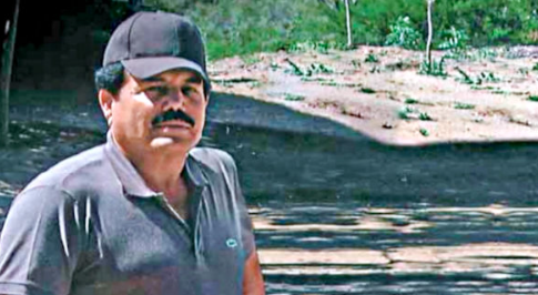 Detienen en El Paso al Mayo Zambada <a href="/r_rbc/">Ricardo Bours C</a>
<a href="/alejandraaaval2/">Alejandra Avalos</a>

<a href="/bujia_la/">La Bujía News</a>

<a href="/feroropeza20/">Fernando Oropeza</a>

<a href="/rquirrin/">Ruiz Quirrín</a>

<a href="/michelleriveraa/">Michelle Rivera</a>

<a href="/solangelochoa/">Solangel Ochoa</a>

<a href="/1Agustn/">Agustín Rodríguez L.</a>

<a href="/Samvalor/">Samuel Valenzuela</a>

<a href="/conradoqr/">Conrado Quezada R. 🐍</a>

<a href="/contreras_p1/">Lic. Hector Contreras Perez</a>

<a href="/JuanGerardoGnd1/">Juan Gerardo Gándara González</a>

<a href="/wonderjuanita/">Wonder Juanita</a>
<a href="/gio/">giovanni ortiz</a>
<a href="/riesquer/">Ruben I Esquer</a>
<a href="/reneeangelicag/">Renée A. García</a>