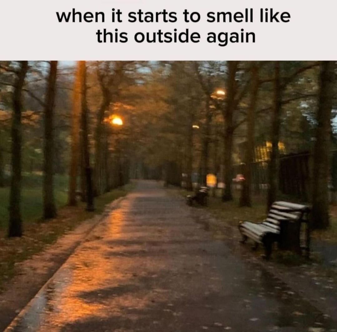 hourly_shitpost's tweet image. 