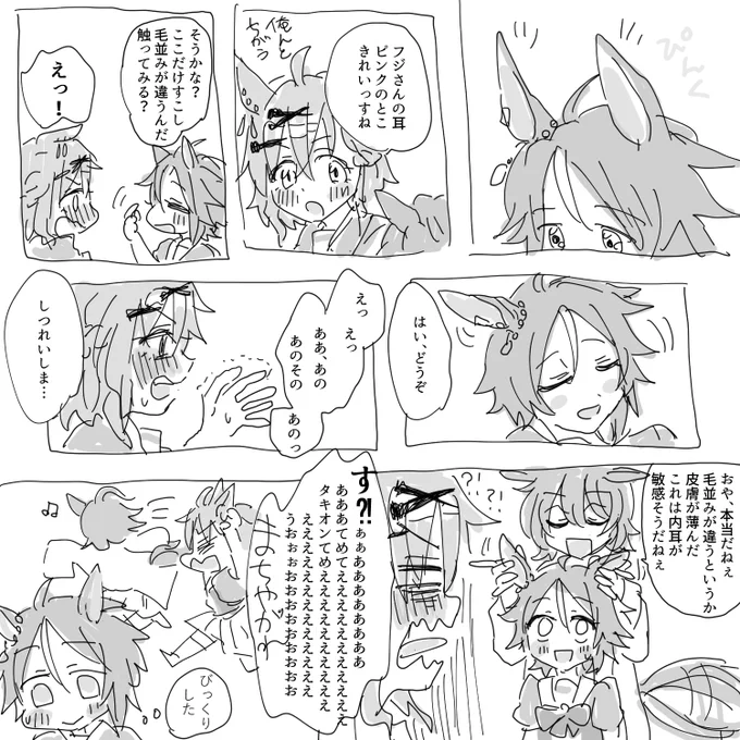 ポケフジタキ 