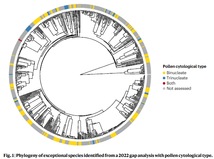 Read the latest research from NTBG #Science &amp; #Conservation staff <a href="/DustinWolkis/">Dustin Wolkis</a>, <a href="/walsh_seana/">Seana Walsh</a> and our partners at <a href="/chicagobotanic/">Chicago Botanic Garden</a>, et al. in "Pollen banking is a critical need for conserving plant diversity" published with <a href="/SpringerNature/">Springer Nature</a> in <a href="/NaturePlants/">Nature Plants</a> rdcu.be/dOVbl