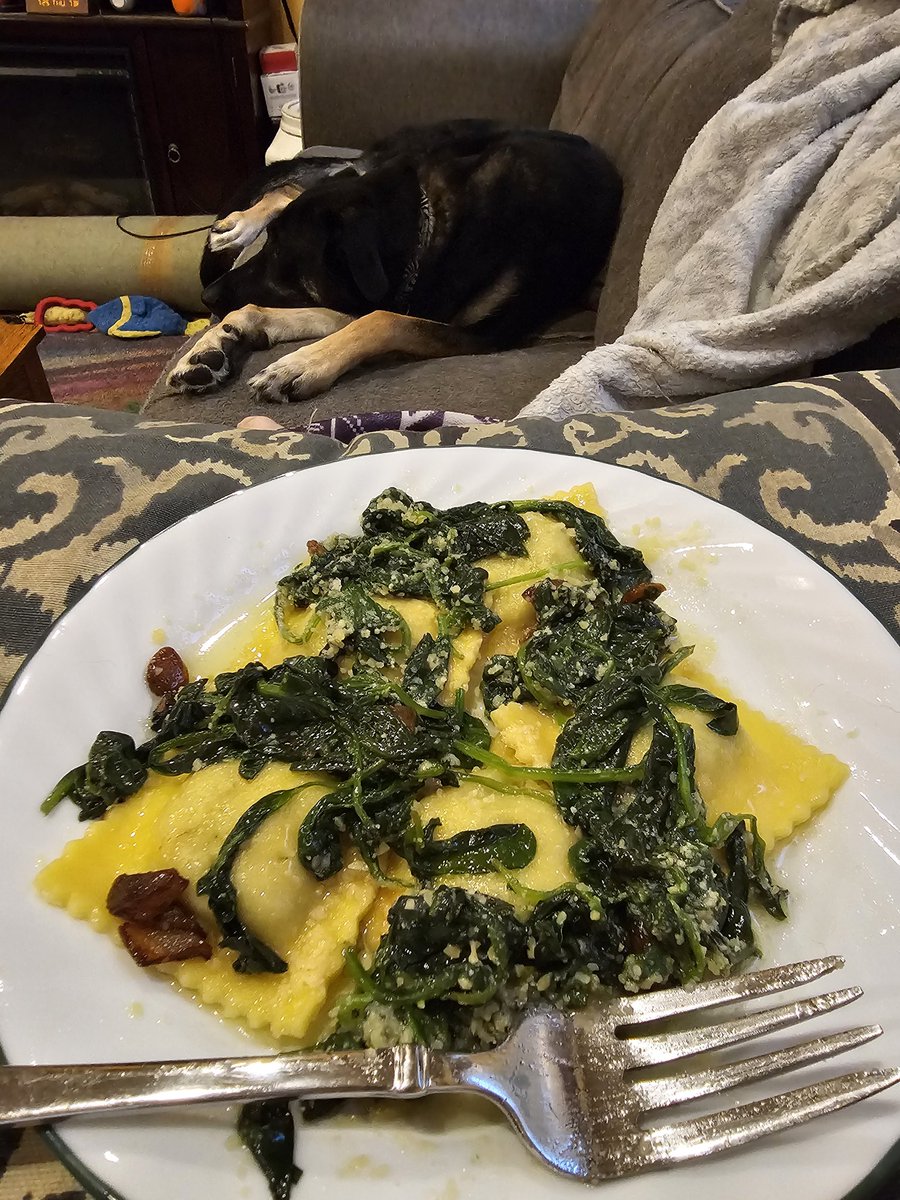 yennidesroches's tweet photo. Made ravioli w/ roasted garlic, spinach, parm cheese, & olive oil ๐ฅฐ
It's been months since I've done more than grabbing cereal or a sandwich
I'm now exhausted & will be ensconced here w/ Terra for the night ๐ซ
#smallwins #buildaladder #chronicillness #DisabilityPrideMonth https://t.co/45pp4Wb2Y6
