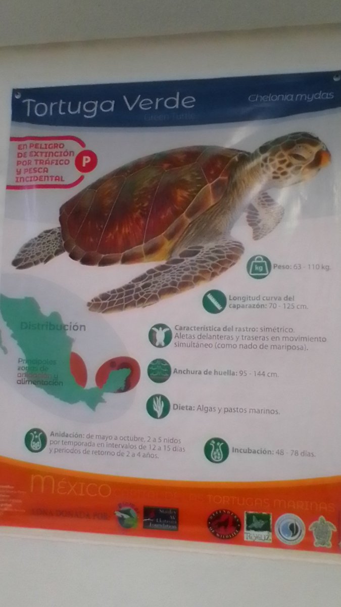 Jose Mario 🏇🏃🏄🚣🏊🌅 tweet media