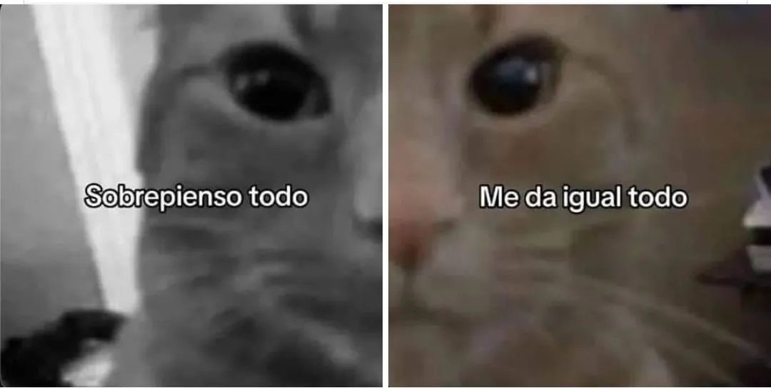El Guarromántico tweet media