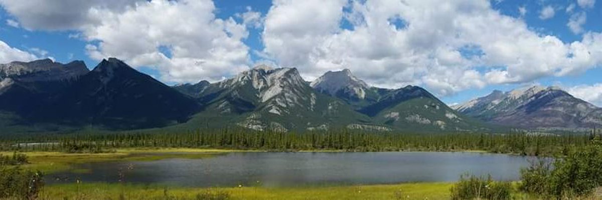 Je pleure pour toi, Jasper.
—
I mourn with you, Jasper.