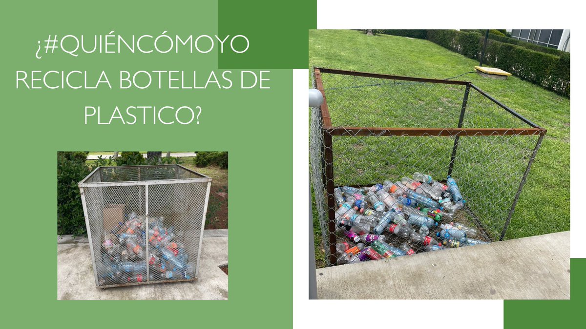annie__pi's tweet photo. ¿#QuiénCómoYo recicla botellas de plástico?

En #AcciónEcológicaUPP #Hacemos Tribu y damos una #esperanzaalplaneta

#divulgandoandoupp
#EscuelasPorLaTierra

@EscuelasXTierra
@UPPachuca
@cultura_upp
@BiomedicaUpp https://t.co/2D126N9Sey