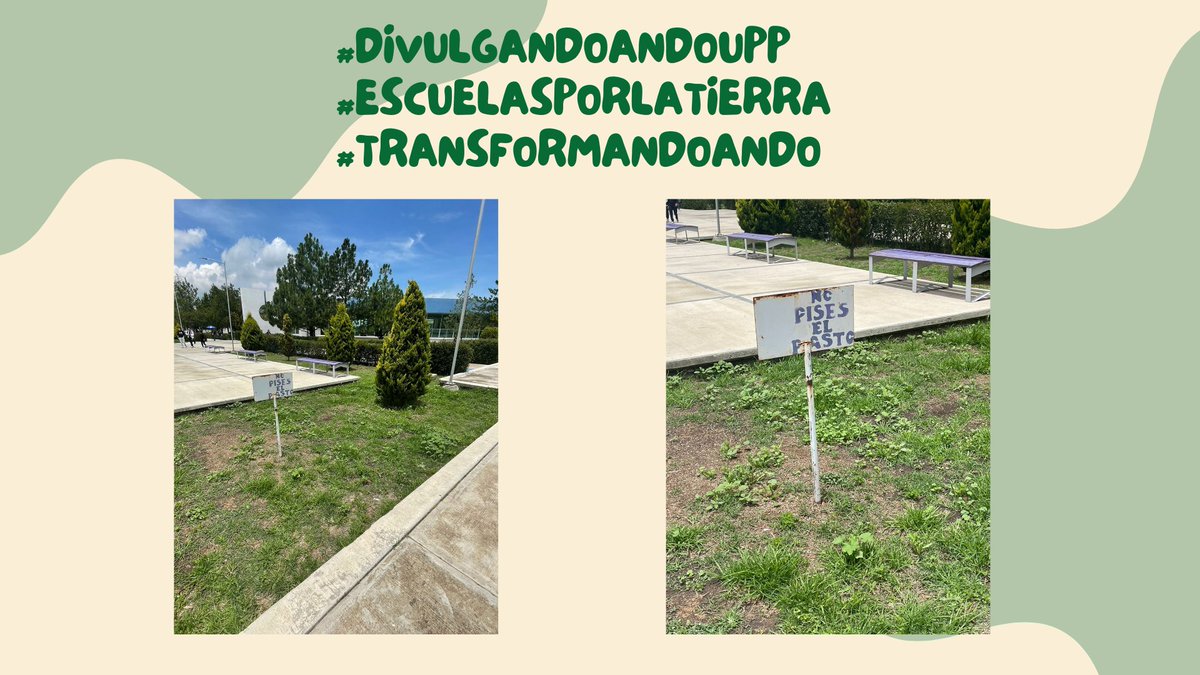annie__pi's tweet photo. En #AcciónEcológicaUPP  comprendemos que #PequeñasAccionesLogranGrandesCambios

Por ello, evite pisar el pasto para que pueda crecer de manera saludable.

#divulgandoandoupp
#EscuelasPorLaTierra
#transformandoando

@EscuelasXTierra
@UPPachuca
@cultura_upp
@BiomedicaUpp https://t.co/MxB1726IjV